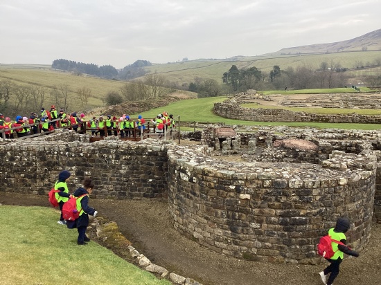 Year 3 trip to Vindolanda!