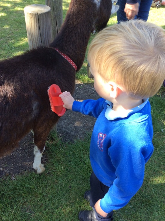 The farm comes to Nursery