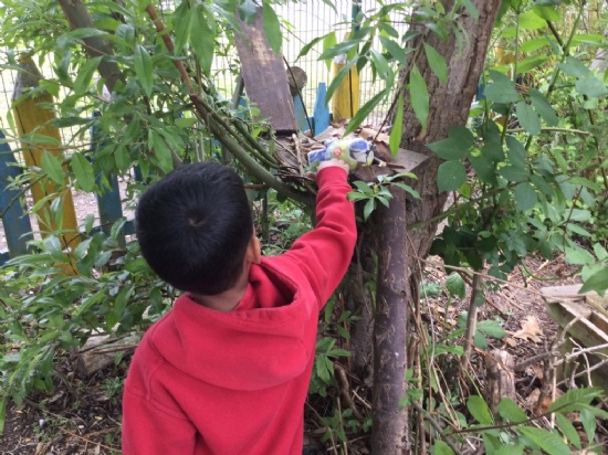 Rise Forest School sessions