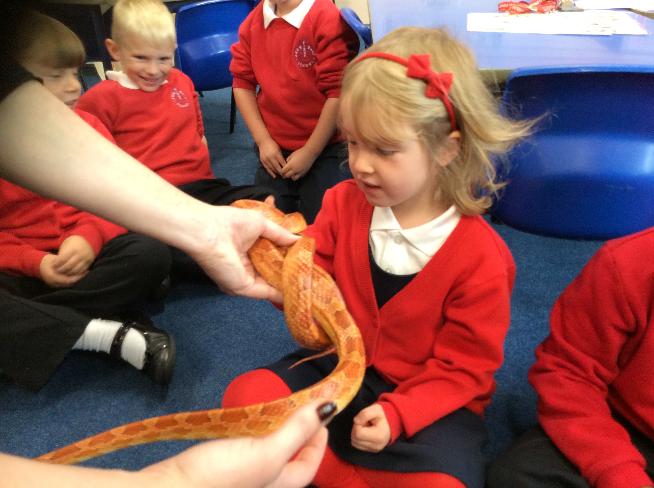 furry-friends-visit-by-year-1-archibald-first-school