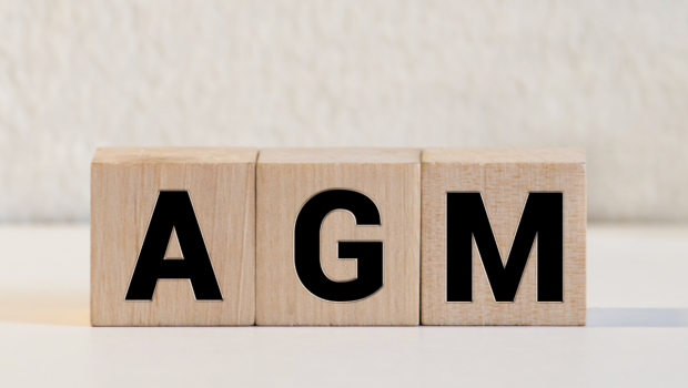 Image shows three wooden blocks, displaying the letters AGM.